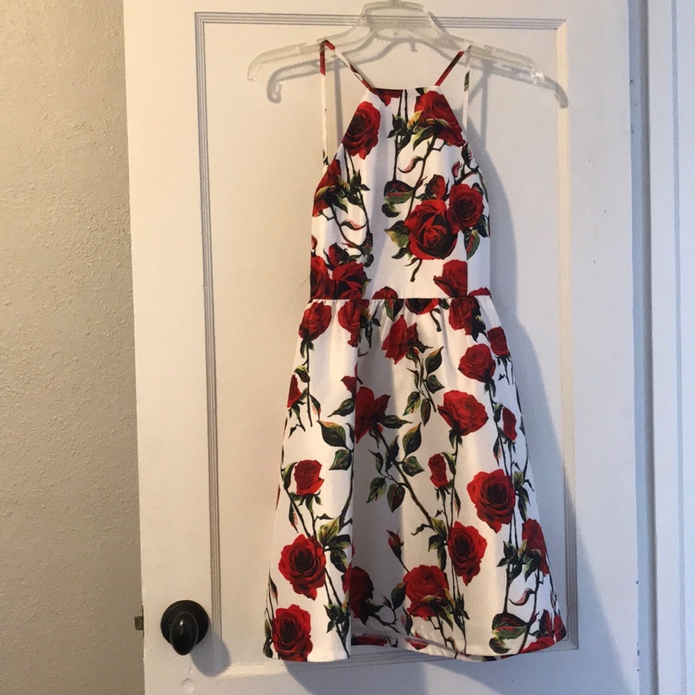 Super cute rose dress